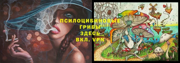 амфетамин Алексеевка