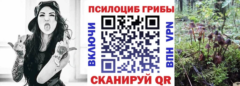 наркота  Кола  Галлюциногенные грибы MAGIC MUSHROOMS 